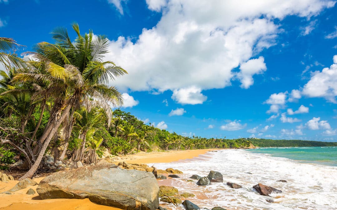 Exotic Carribean Shore Of Puerto Rico Flamenco Beach